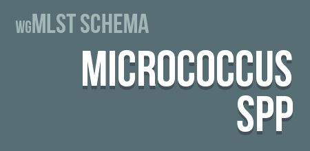Micrococcus spp. wgMLST schema