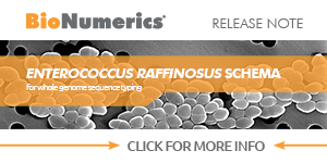 Enterococcus raffinosus wgMLST schema